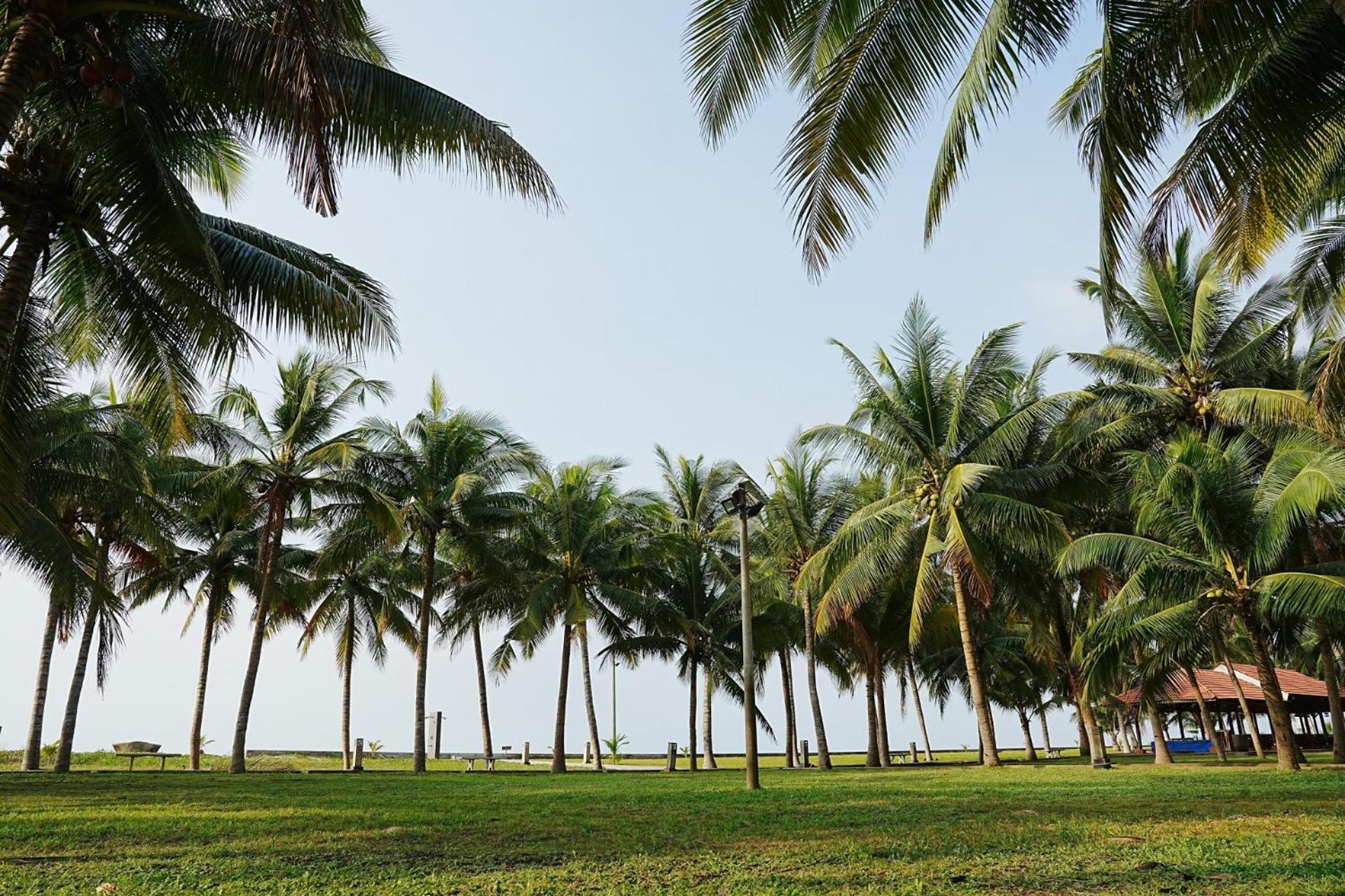 Dat Lanh Beach Resort Лазі Екстер'єр фото